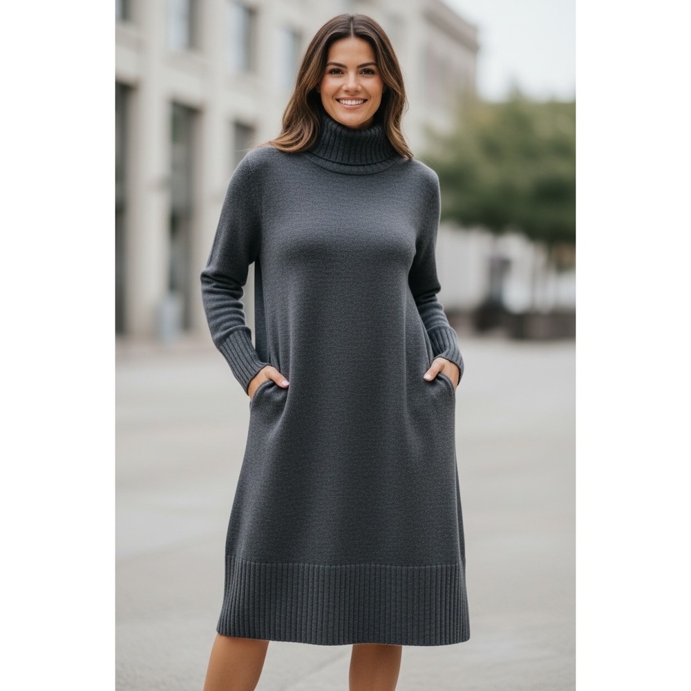 Eileen Fisher Size XL Ash Gray Turtleneck Dress 100% Merino Wool‎ Fine Knit NWT